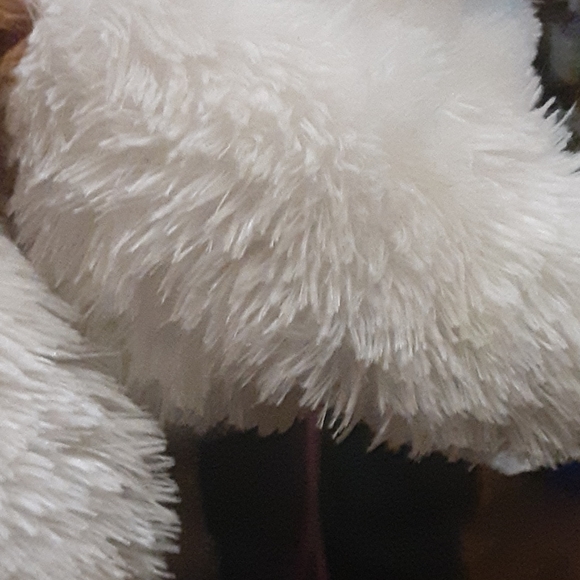 Fluffy cat - Picture 2 of 4